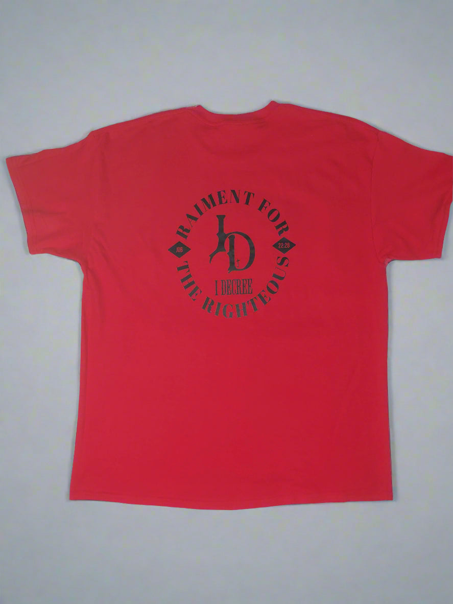 I DECREE CHRIST UP T SHIRT