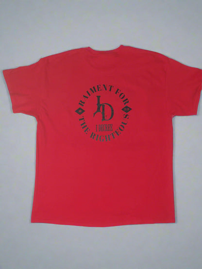 I DECREE CHRIST UP T SHIRT